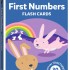 Junior Explorers - First Numbers Flash Card (large format)