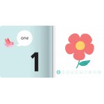 Junior Explorers - First Numbers Garden (board book) - Hinkler - BabyOnline HK