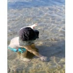 Ultimate Swim Diaper Trunks - Light Blue Hawaiian - Size L (18m) - iPlay - BabyOnline HK