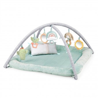 Calm Springs Plush Activity Gym for Baby