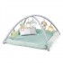 Calm Springs Plush Activity Gym for Baby