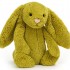 Jellycat - Bashful Zingy Bunny (Medium 31cm) 