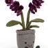 Jellycat - Amuseable Purple Orchid 神奇乳紫色蘭花公仔