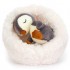 Jellycat - Hibernating Penguin 冬眠企鵝