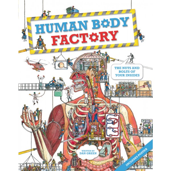 Human Body Factory - KingFisher - BabyOnline HK