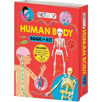 Factivity - Human Body (Book + Kit)
