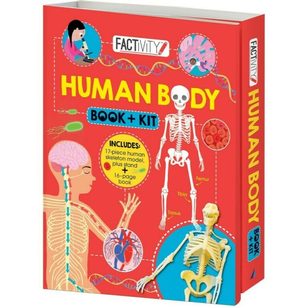 Factivity - Human Body (Book + Kit) - Lake Press - BabyOnline HK
