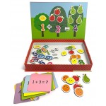 Little Genius - Play & Learn - Magnetic Play (Numbers) - Lake Press - BabyOnline HK