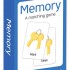 Little Genius Flashcards - Memory