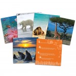 Wild About Animals Snapshots - Critical Thinking Photo Cards - Learning Resources - BabyOnline HK