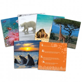 Wild About Animals Snapshots - Critical Thinking Photo Cards
