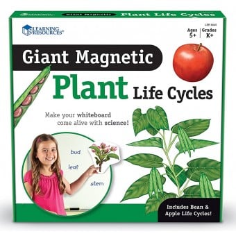 Giant Magnetic - Plant Life Cycles