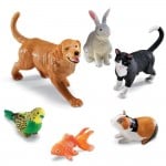 Jumbo Pets - Learning Resources - BabyOnline HK