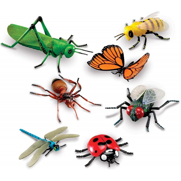 特大昆蟲 - Learning Resources