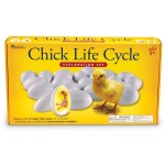 Chick Life Cycle Exploration Set - Learning Resources - BabyOnline HK