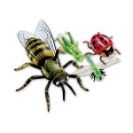 Giant Inflatable Insects - Learning Resources - BabyOnline HK