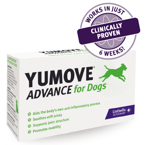 Yumove Advance for Dogs 優骼服加強版 (犬用) - 60 粒裝 - Lintbells - BabyOnline HK
