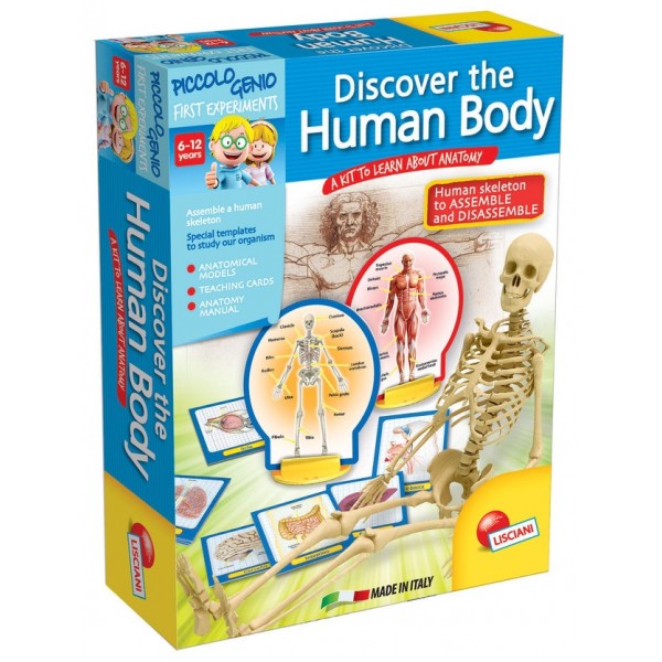 Ludattica - Discover the Human Body - Lisciani - BabyOnline HK