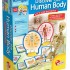 Ludattica - Discover the Human Body