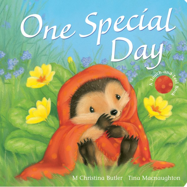 One Special Day - Little Tiger Press - BabyOnline HK