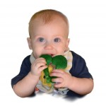 AppeTEETHERS Teething Toys - Broccoli Bites - Little Toader - BabyOnline HK