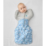 Swaddle UP - Warm 2.5 tog - Blue Silly Goose (M) - Love To Dream - BabyOnline HK