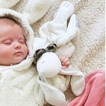 DouDou Organic Cotton Comforter with Gift Box - Ears The Bunny - Maud N Lil - BabyOnline HK