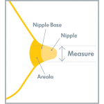 接觸型乳頭護膜 (一對裝) - 中碼 - Medela - BabyOnline HK