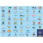 Search & Find Puzzle - Ocean Life (64 pcs) - Mudpuppy - BabyOnline HK