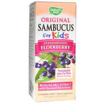 Sambucus for Kids Syrup 4 oz / 120 ml 