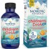 Nordic Naturals - Children's DHA Xtra (Berry Punch) 60ml