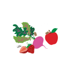 Organic Gummy Stars - Apple, Strawberry & Beet (5 packs) - Nosh! - BabyOnline HK