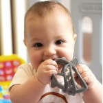 Chewy Chums Soothing Teether - Grey Shark - Nuby - BabyOnline HK