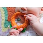 Chewable Teething Toy - Cathy the Carrot - Oli & Carol - BabyOnline HK