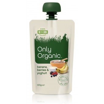 Organic Mango & Yoghurt Brekkie 120g