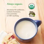 Organic 1% Chocolate Lowfat Milk 200ml (12 packs) - Organic Valley - BabyOnline HK