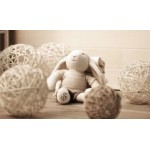 Baby Qncy - Organic Small Bunny 25cm - Boy - Others - BabyOnline HK