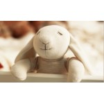 Baby Qncy - Organic Small Bunny 25cm - Girl - Others - BabyOnline HK