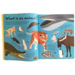 Factivity - Travel Through the Amazing World of Wild Animals - Parragon - BabyOnline HK
