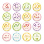 Pregnancy Belly Stickers (16 stickers) - PearHead - BabyOnline HK