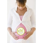 Pregnancy Belly Stickers (16 stickers) - PearHead - BabyOnline HK