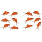 Nature Deco Restickable Sticker XXS - Fishes (2 sheets) - Plage - BabyOnline HK