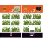 Nature Deco Restickable Sticker XXS - Grass (2 sheets) - Plage - BabyOnline HK