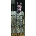 Ondoor Adhesives For Door - Donkey In The Bathroom - Plage - BabyOnline HK