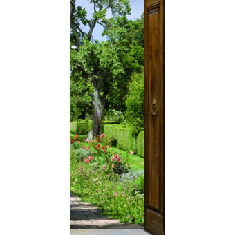 Ondoor Adhesives For Door - My Garden