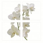 Smooth Tile Decoration - Orchid - Plage - BabyOnline HK