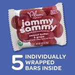 Jammy Sammy (Peanut Butter & Grape) - 5 packs - Plum Organics - BabyOnline HK