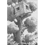 Magic Tree House #6 - Afternoon on the Amazon - Random House - BabyOnline HK