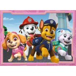 Paw Patrol (Friends Ready for Adventure!) - 拼圖 (4 in 1 Box) - Ravensburger - BabyOnline HK