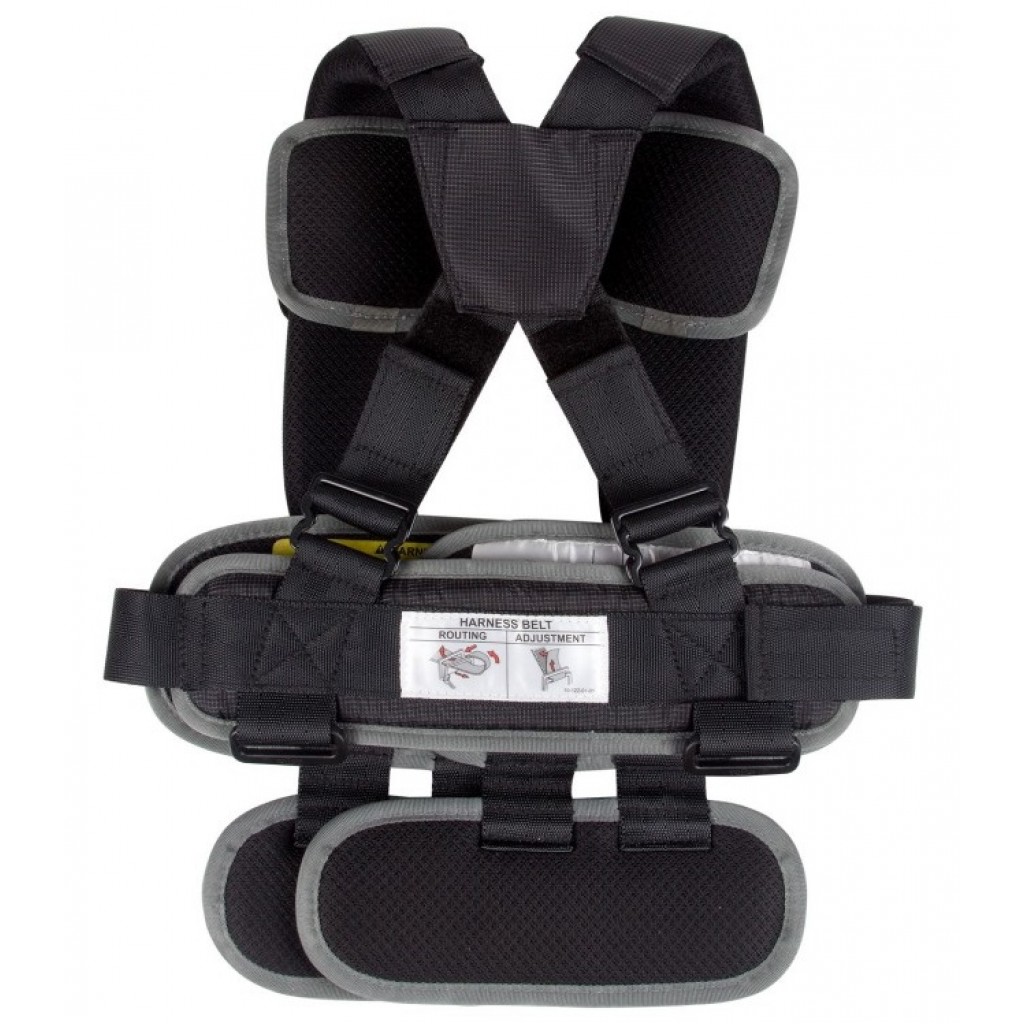 RideSafer Delight - Gen 5 Children’s Harness Car Seat (Black) - Small ...